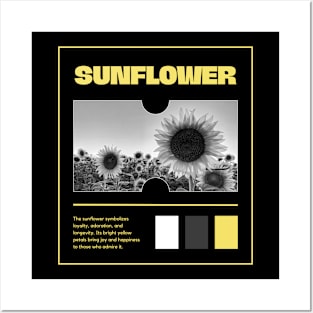 Sunflower - Loyalty And Adoration with Joy and Happiness Represents, Flower Collection Posters and Art